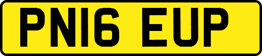 PN16EUP