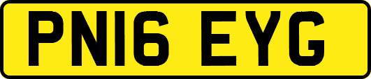 PN16EYG