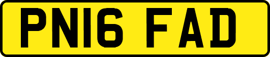 PN16FAD
