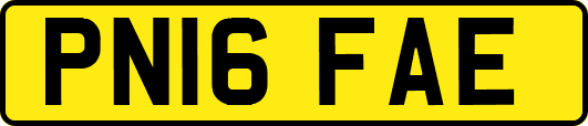 PN16FAE