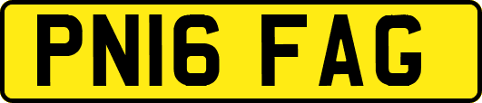 PN16FAG