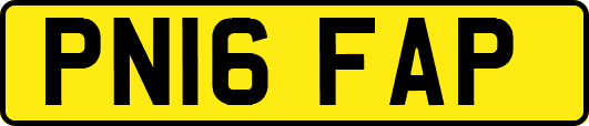 PN16FAP