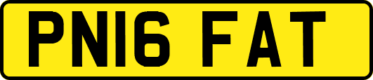 PN16FAT