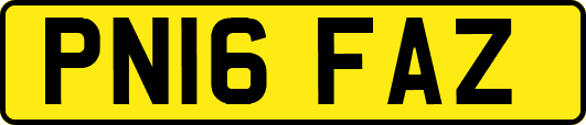 PN16FAZ