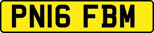 PN16FBM