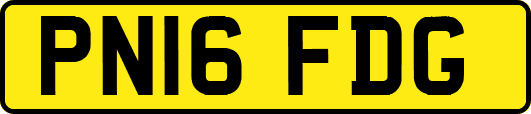 PN16FDG