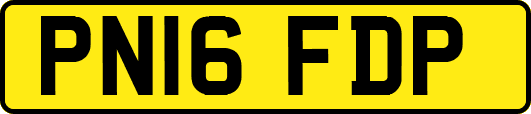 PN16FDP