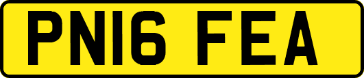 PN16FEA