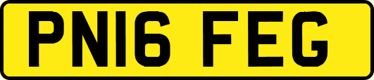 PN16FEG