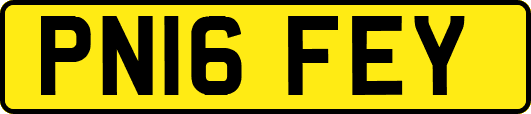 PN16FEY