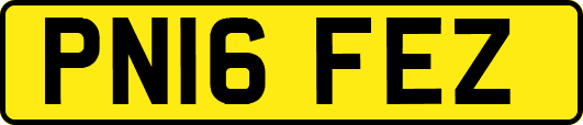 PN16FEZ