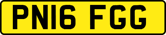 PN16FGG
