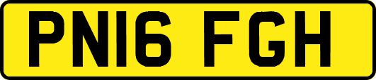 PN16FGH
