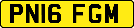 PN16FGM