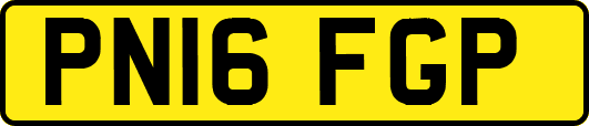 PN16FGP