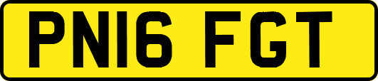 PN16FGT