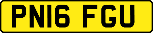 PN16FGU