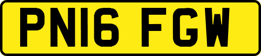 PN16FGW