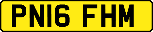 PN16FHM