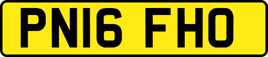PN16FHO
