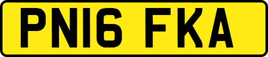 PN16FKA