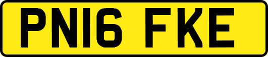 PN16FKE