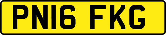 PN16FKG