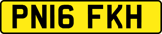 PN16FKH