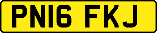 PN16FKJ