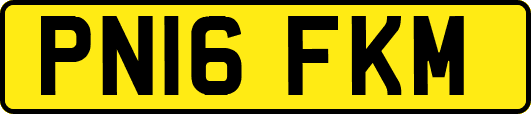 PN16FKM