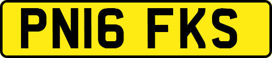 PN16FKS