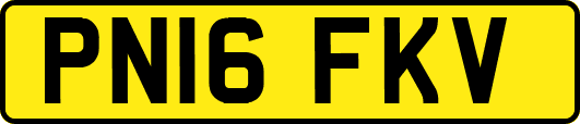 PN16FKV