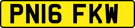 PN16FKW