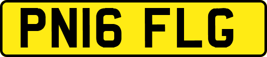 PN16FLG