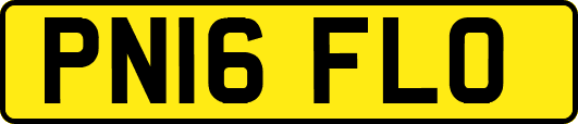 PN16FLO