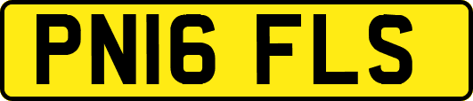 PN16FLS