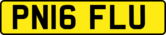 PN16FLU