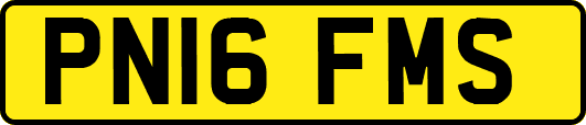PN16FMS