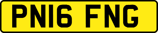 PN16FNG