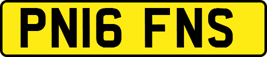 PN16FNS