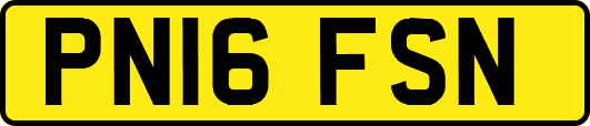 PN16FSN
