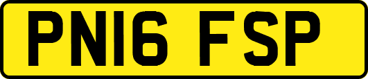 PN16FSP