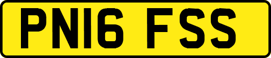 PN16FSS