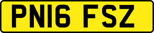 PN16FSZ