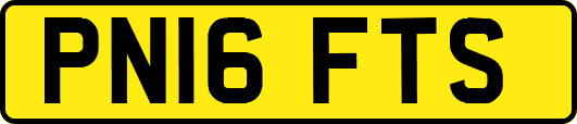 PN16FTS