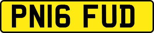 PN16FUD