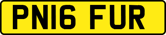 PN16FUR