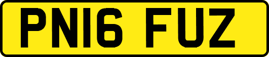PN16FUZ