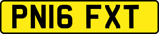 PN16FXT