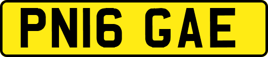 PN16GAE